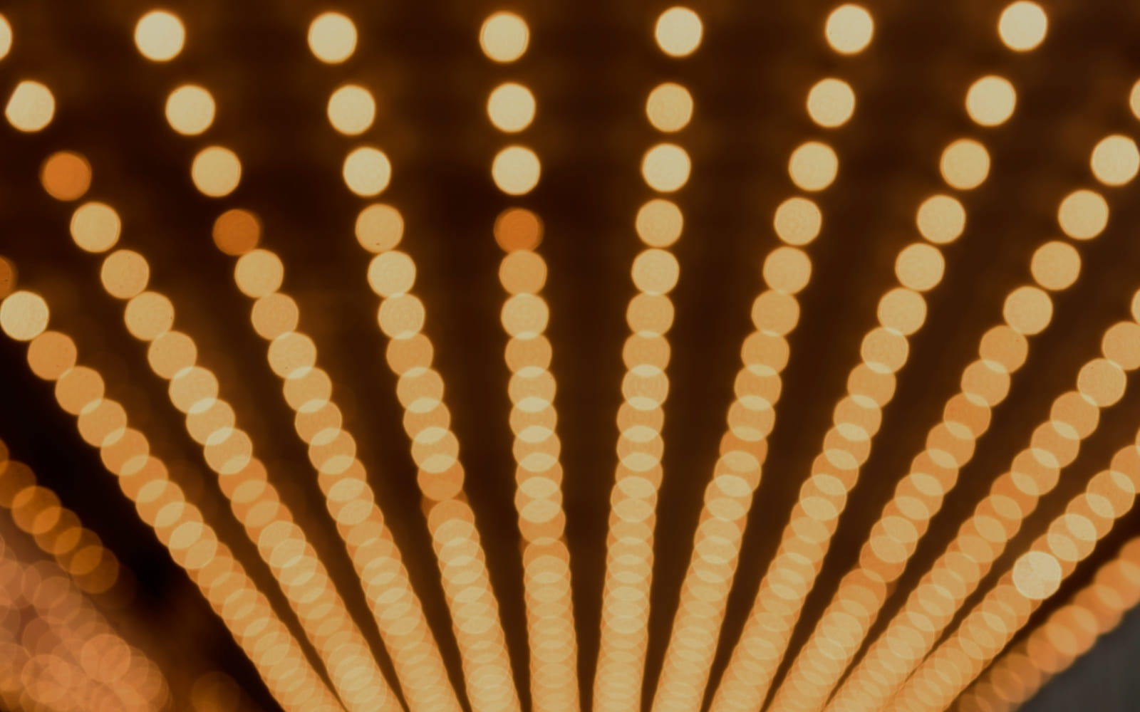 Rows of warm string lights glowing softly against a dark background