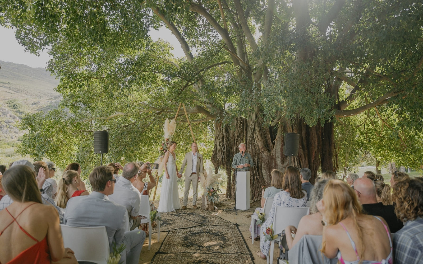 A couple walks past seated guests toward an outdoor wedding ceremony beneath trees
